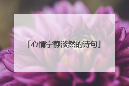 心情宁静淡然的诗句