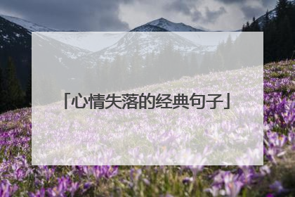 心情失落的经典句子