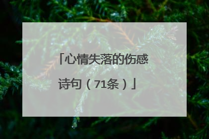 心情失落的伤感诗句（71条）