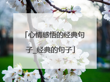 心情感悟的经典句子_经典的句子