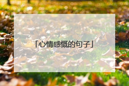 心情感慨的句子