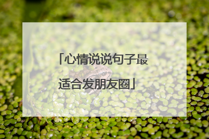 心情说说句子最适合发朋友圈