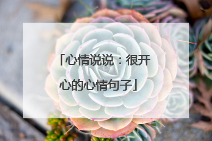 心情说说：很开心的心情句子