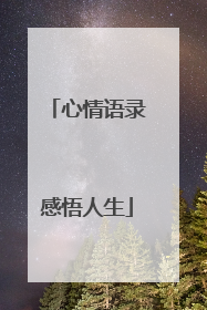 心情语录感悟人生