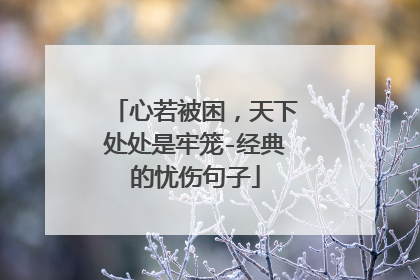 心若被困，天下处处是牢笼-经典的忧伤句子