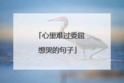 心里难过委屈想哭的句子