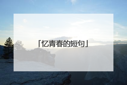 忆青春的短句
