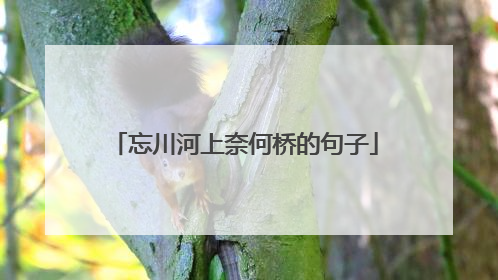 忘川河上奈何桥的句子