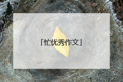 忙优秀作文