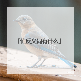 忙反义词有什么