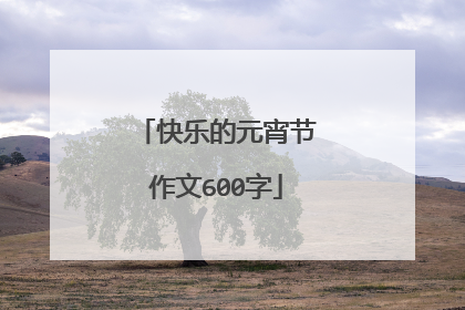快乐的元宵节作文600字
