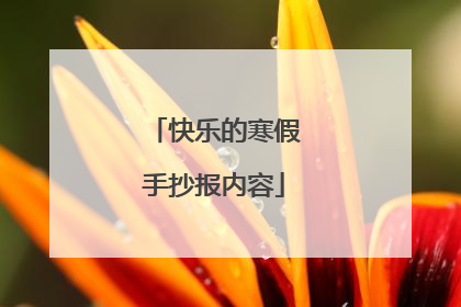 快乐的寒假手抄报内容