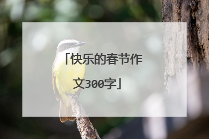 快乐的春节作文300字