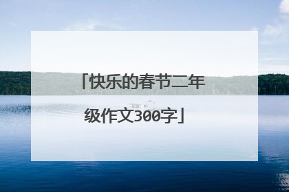 快乐的春节二年级作文300字