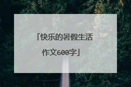快乐的暑假生活作文600字