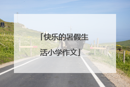 快乐的暑假生活小学作文