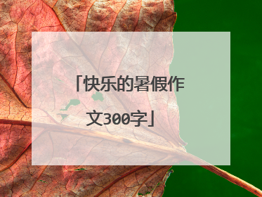 快乐的暑假作文300字