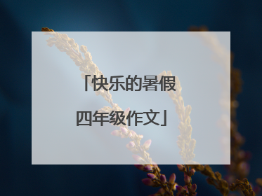 快乐的暑假四年级作文