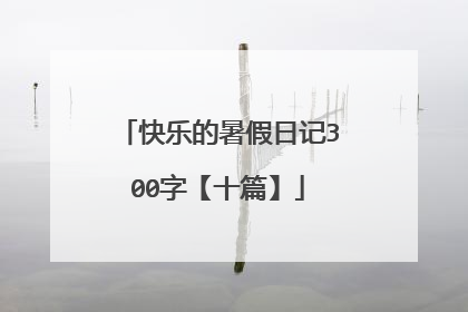 快乐的暑假日记300字【十篇】