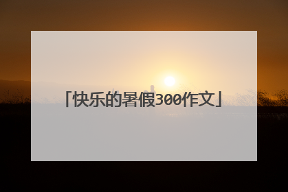 快乐的暑假300作文