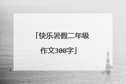 快乐暑假二年级作文300字