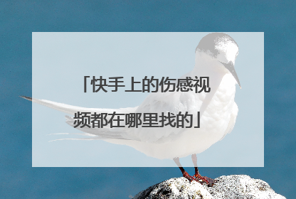 快手上的伤感视频都在哪里找的