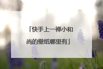 快手上一禅小和尚的壁纸哪里有