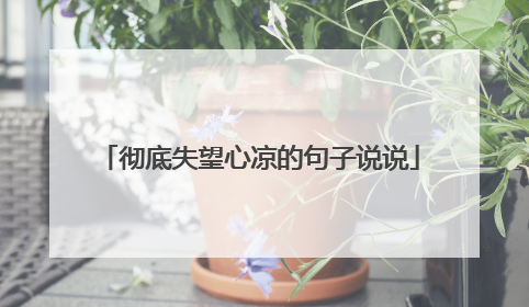 彻底失望心凉的句子说说