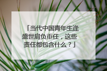 当代中国青年生逢盛世肩负重任,这些责任都包含什么?