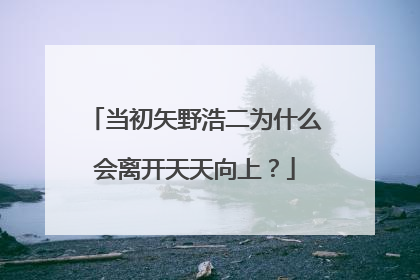 当初矢野浩二为什么会离开天天向上?