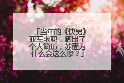 当年的《快男》亚军求职,晒出了个人简历,苏醒为什么会这么惨?