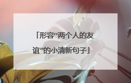 形容“两个人的友谊”的小清新句子