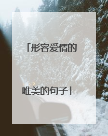 形容爱情的唯美的句子