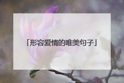 形容爱情的唯美句子