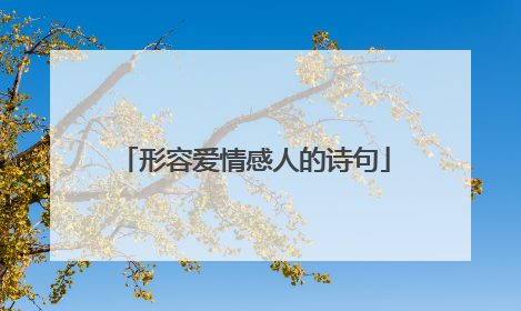 形容爱情感人的诗句