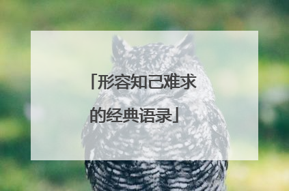 形容知己难求的经典语录