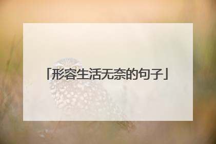 形容生活无奈的句子