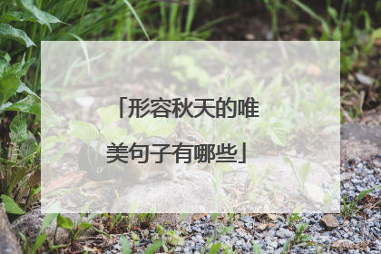 形容秋天的唯美句子有哪些