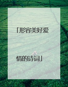 形容美好爱情的诗词