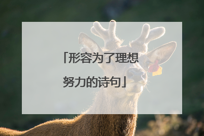 形容为了理想努力的诗句