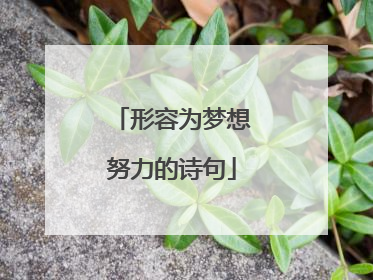形容为梦想努力的诗句