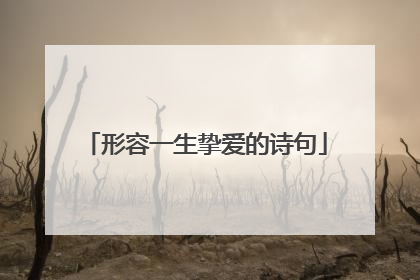 形容一生挚爱的诗句