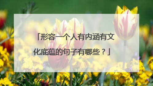 形容一个人有内涵有文化底蕴的句子有哪些?