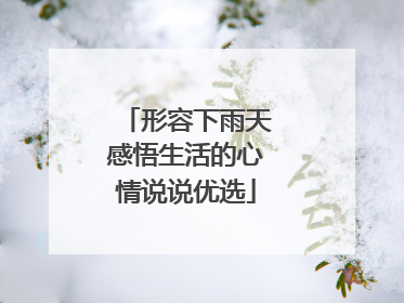 形容下雨天感悟生活的心情说说优选