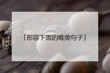 形容下雪的唯美句子