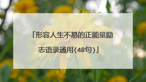 形容人生不易的正能量励志语录通用(48句)