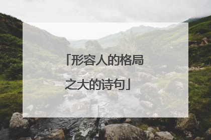 形容人的格局之大的诗句