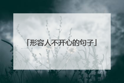 形容人不开心的句子
