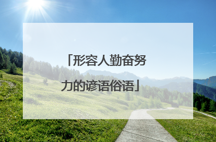 形容人勤奋努力的谚语俗语