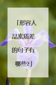 形容人品素质差的句子有哪些?